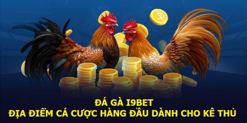 Giới thiệu về đá gà i9bet