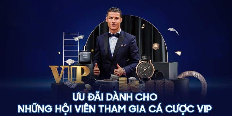 Tận hưởng ưu đãi độc quyền cho tài khoản VIP 